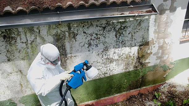Top rated local Mold Removal specialists in Church Hill, TN